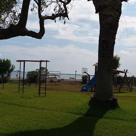 Sunny Near The Sea *